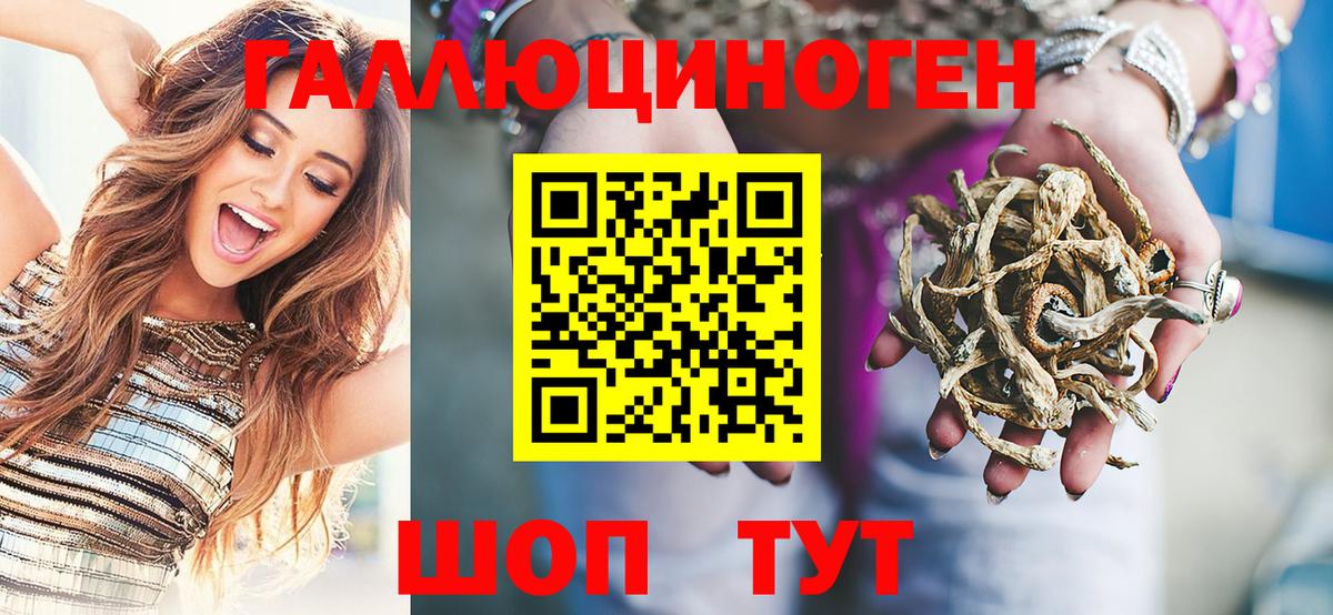 Галлюциногенные грибы Psilocybine cubensis  Вход с VPN  цены   Псилоцибиновые грибы Psilocybe  Прокопьевск 